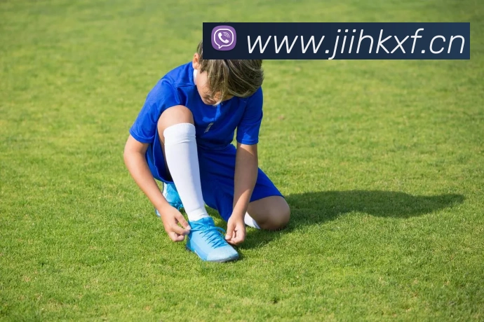 开云官方网页版在线登陆APP 封面图